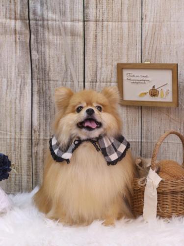 20241013梛都ちゃん